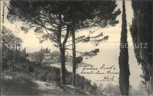 San Vigilio Lago di Garda Teilansicht 