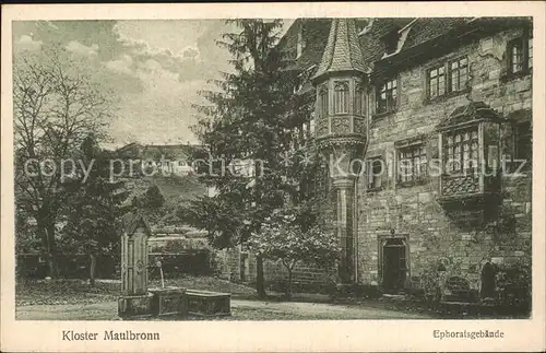 Maulbronn Kloster Ephoratsgebaeude Brunnen Kat. Maulbronn