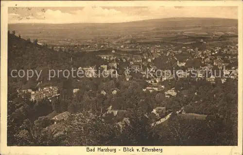 Bad Harzburg Panorama Blick vom Ettersberg Kat. Bad Harzburg