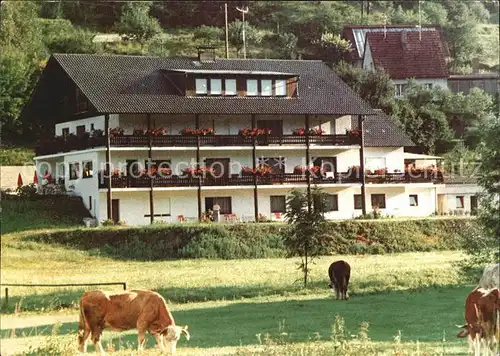 Hirschbach Oberpfalz Pension Hirschbachtal  Kat. Hirschbach