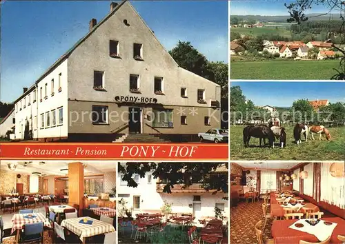 Zintlhammer Hotel Pony Hof  Kat. Pressath