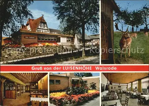Walsrode Lueneburger Heide Restaurant Luisenhoehe  Kat. Walsrode