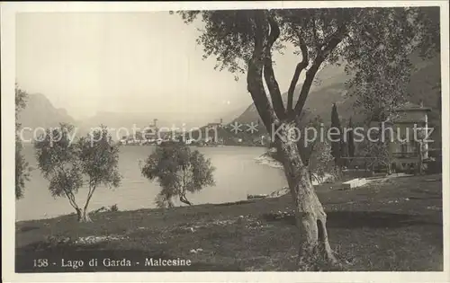 Malcesine Lago di Garda Teilansicht  Kat. Malcesine