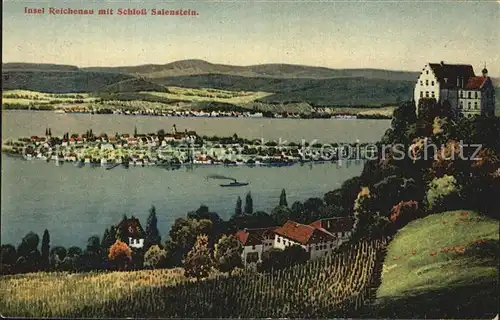 Insel Reichenau mit Schloss Salenstein Kat. Reichenau Bodensee