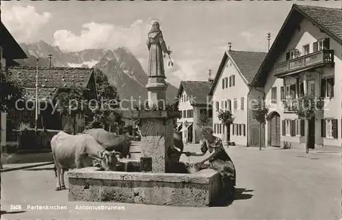 Partenkirchen Antoniusbrunnen Viehtraenke Kuehe Alpenblick Kat. Garmisch Partenkirchen