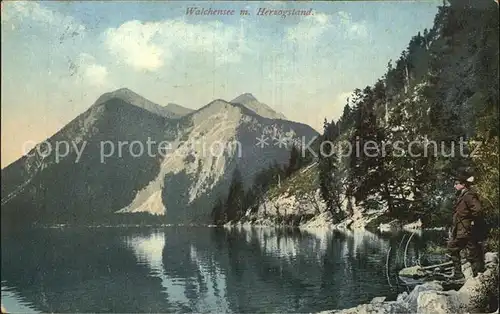 Walchensee mit Herzogstand Bayerische Alpen Kat. Kochel a.See
