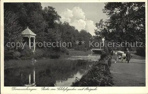 Donaueschingen Partie im Schlossgarten mit Brigach Kat. Donaueschingen