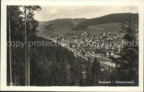 Neustadt Schwarzwald Panorama
