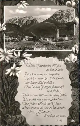 Pfronten Gesamtansicht mit Alpenpanorama Edelweiss Poesie Kat. Pfronten