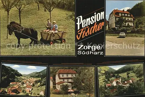 Zorge Pension Fischer Ponywagen Panorama Gartenterrasse Kat. Zorge