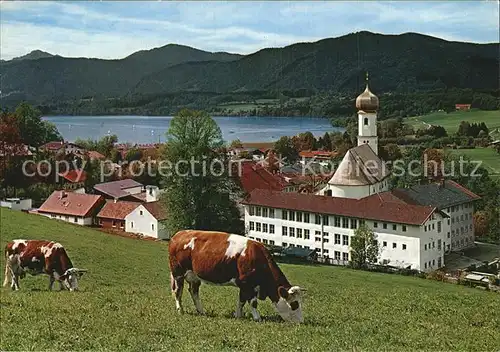 Gmund Tegernsee Alpen Kat. Gmund a.Tegernsee