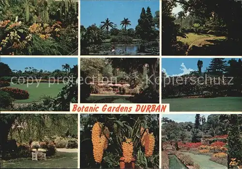 Durban South Africa Botanischer Garten Kat. Durban