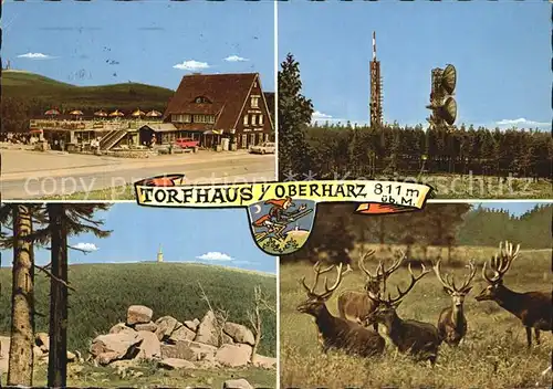 Torfhaus Harz Sporthotel Brockenblick Hirschrudel  Kat. Altenau