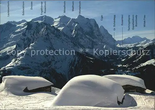 Hasliberg Gummenalp Kat. Meiringen