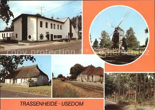 Trassenheide Usedom Windmuehle Reetdachhaus Kat. Trassenheide