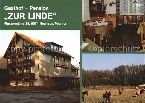 Neuhaus Pegnitz Gasthof Pension Zur Linde Kat. Neuhaus a.d.Pegnitz