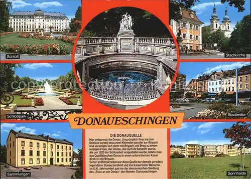 Donaueschingen Schloss Stadtkirche Schlosspark Donauquelle Stadtmitte Sammlungen Sonnhalde Kat. Donaueschingen