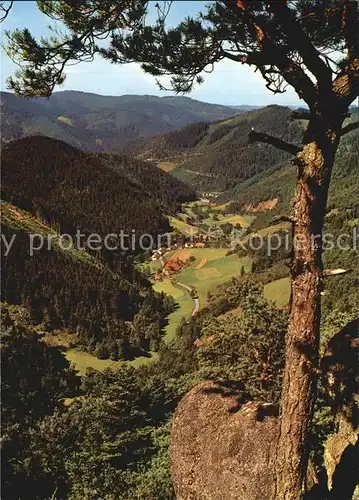 Reichenbach Gengenbach Blick vom Apfelfelsen Kat. Gengenbach