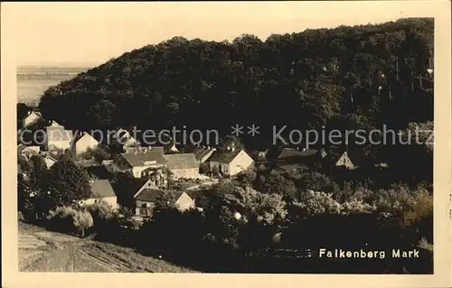 Falkenberg Mark Teilansicht Kat. Falkenberg Mark