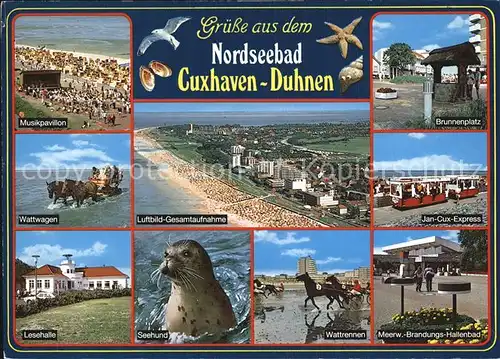 Cuxhaven Duhnen Nordseebad Wattwagen Fliegeraufnahme Strand Seehund Brunnenplatz