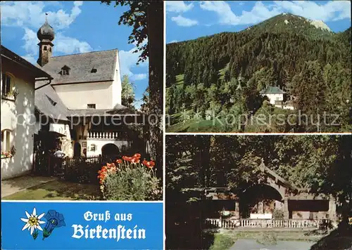 Birkenstein Kirchenpartie Kat. Fischbachau