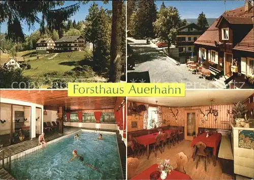 Baiersbronn Schwarzwald Forsthaus Auerhahn Schwimmhalle Kat. Baiersbronn