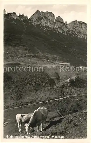 Kampenwand Chiemgau Steinlingalm Hauptgipfel Kat. Aschau i.Chiemgau