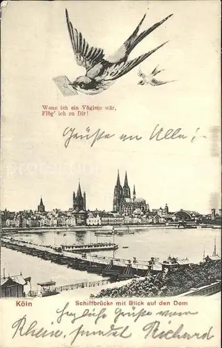 Koeln Rhein Schiffbruecke mit Dom Kat. Koeln