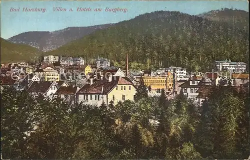 Bad Harzburg Villen und Hotels am Burgberg Kat. Bad Harzburg