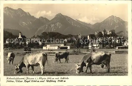 Fuessen Allgaeu Vilser Kegel Rossberg Rinder Kat. Fuessen