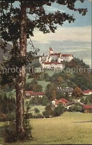 Hohenaschau Chiemgau Burg Kat. Aschau i.Chiemgau