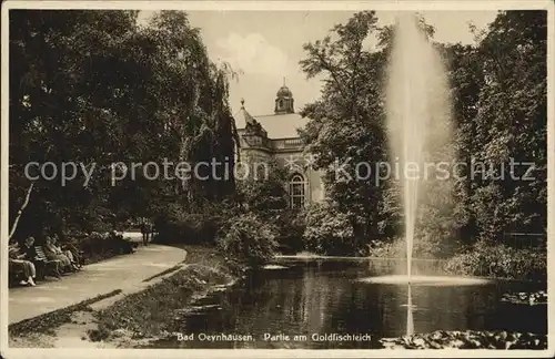 Bad Oeynhausen Partie am Goldfischteich Kat. Bad Oeynhausen