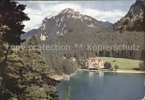 Hohenschwangau Alpsee mit Alpenrose und Neuschwanstein Kat. Schwangau