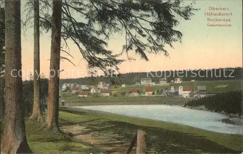 Bockswiese Hahnenklee Harz Gesamtansicht  Kat. Goslar