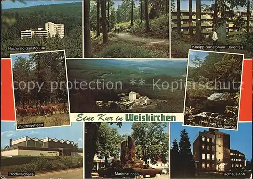 Weiskirchen Saar Holzbachtal Wildfreigehege Hochwaldhalle Marktbrunnen  Kat. Weiskirchen Saar