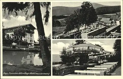 Bayerisch Eisenstein Haus Laerchenhof Arber Terrasse  Kat. Bayerisch Eisenstein