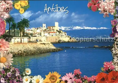 Antibes Alpes Maritimes Partie am Meer Kat. Antibes
