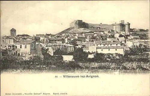 Villeneuve les Avignon Vue generale avec le Fort Saint Andre Kat. Villeneuve les Avignon