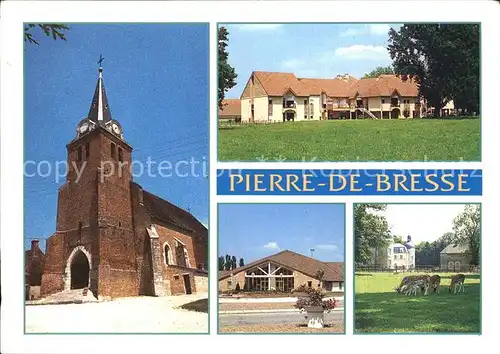 Pierre de Bresse Eglise Maison de retraite Salle des fetes Parc du chateau et ses daims Kat. Pierre de Bresse