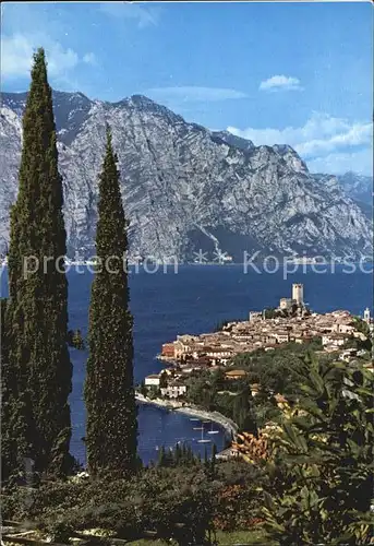 Malcesine Lago di Garda Panorama Kat. Malcesine