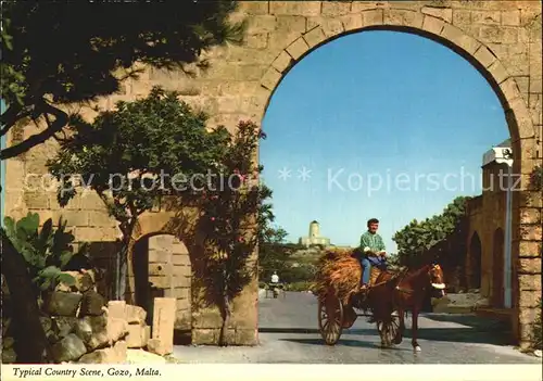 Gozo Malta Pferdewagen  Kat. Malta