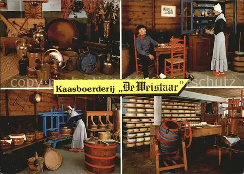 Maarsbergen Kaas en Museumboerderij De Weistaar Kat. Maarsbergen