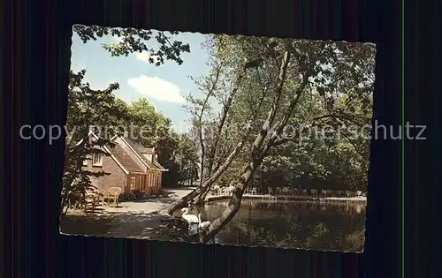 Beek Niederlande Bergmeertje Peeske Kat. Beek