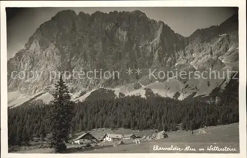 Ehrwald Tirol Ehrwalder Alm mit Wetterstein