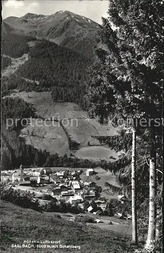 Saalbach Hinterglemm Schattberg Kat. Saalbach Hinterglemm