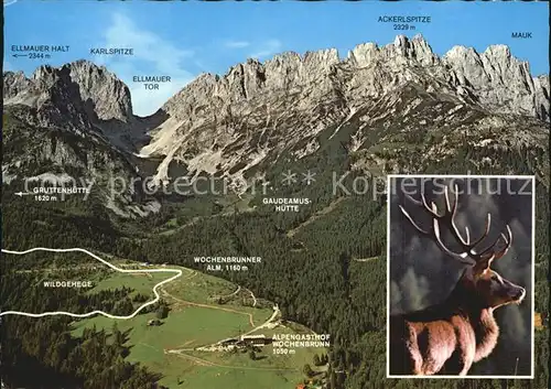 Ellmau Tirol Alpengasthof Wochenbrunn  Kat. Ellmau