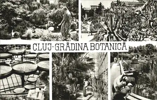 Cluj Napoca Gradina Botanica Kat. Cluj Napoca