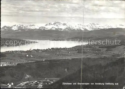 Zuerichsee ZH Glarneralpen Panorama