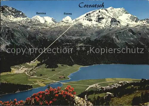 Corvatsch Silvaplana GR Berninagruppe  Kat. Silvaplana