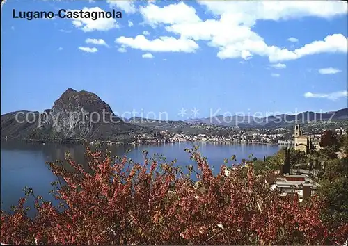 Castagnola Cassarate Panorama Kat. Castagnola